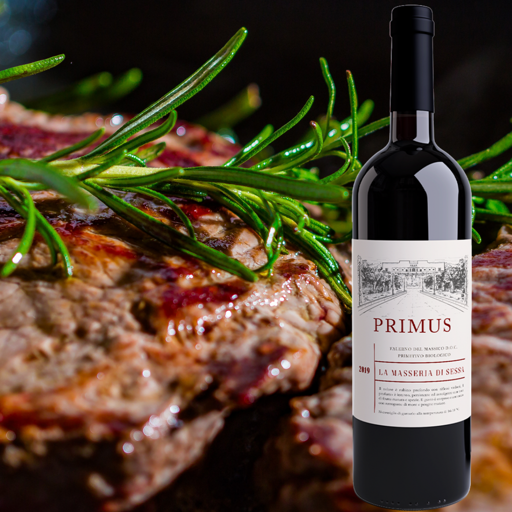PRIMUS Falerno del Massico Primitivo DOC 2019