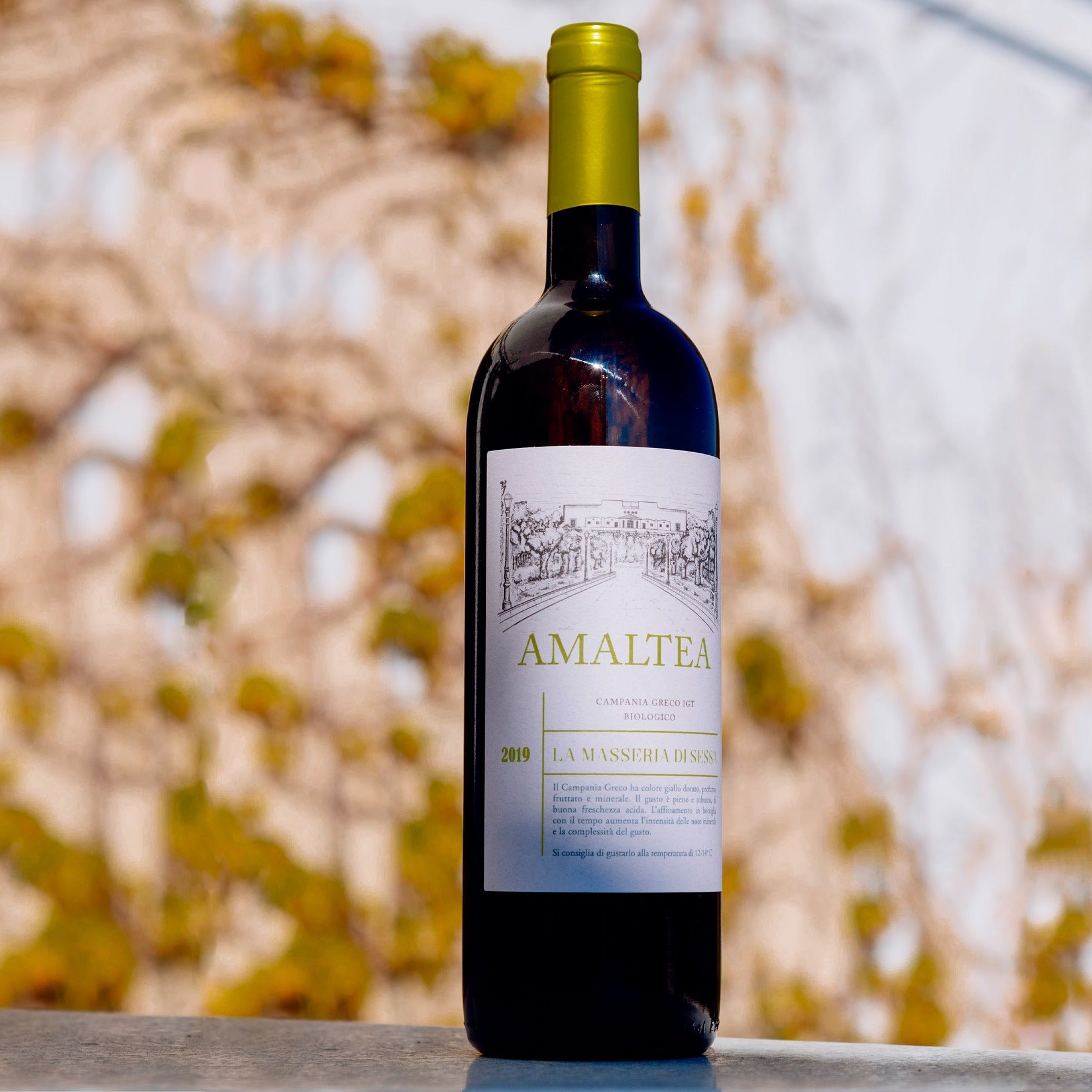 AMALTEA Campania Greco IGT 2019