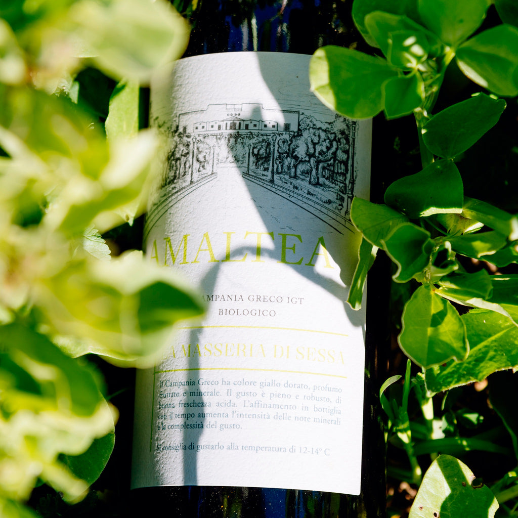 AMALTEA Campania Greco IGT 2019