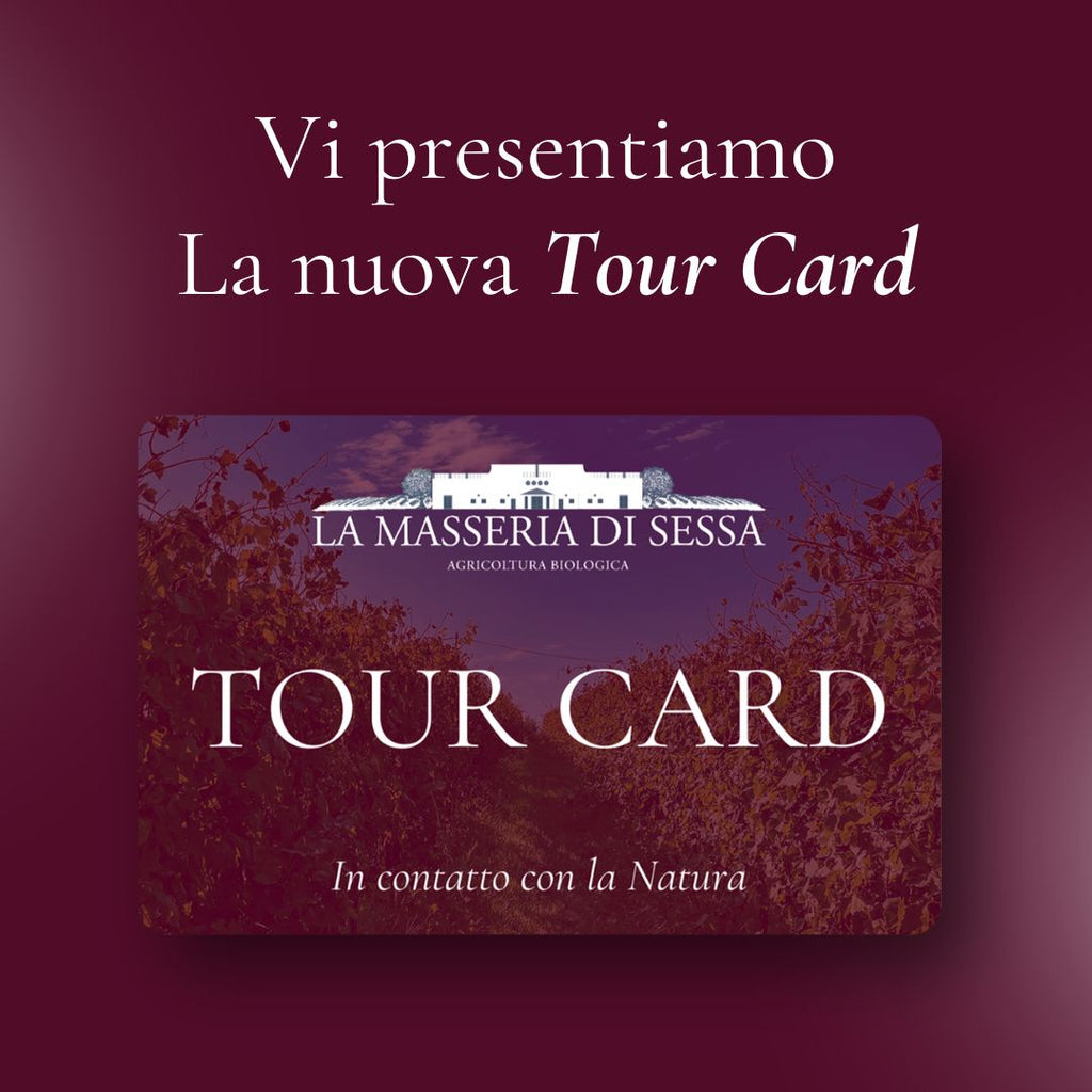 Tour Card